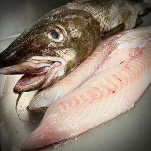 Cod Loin